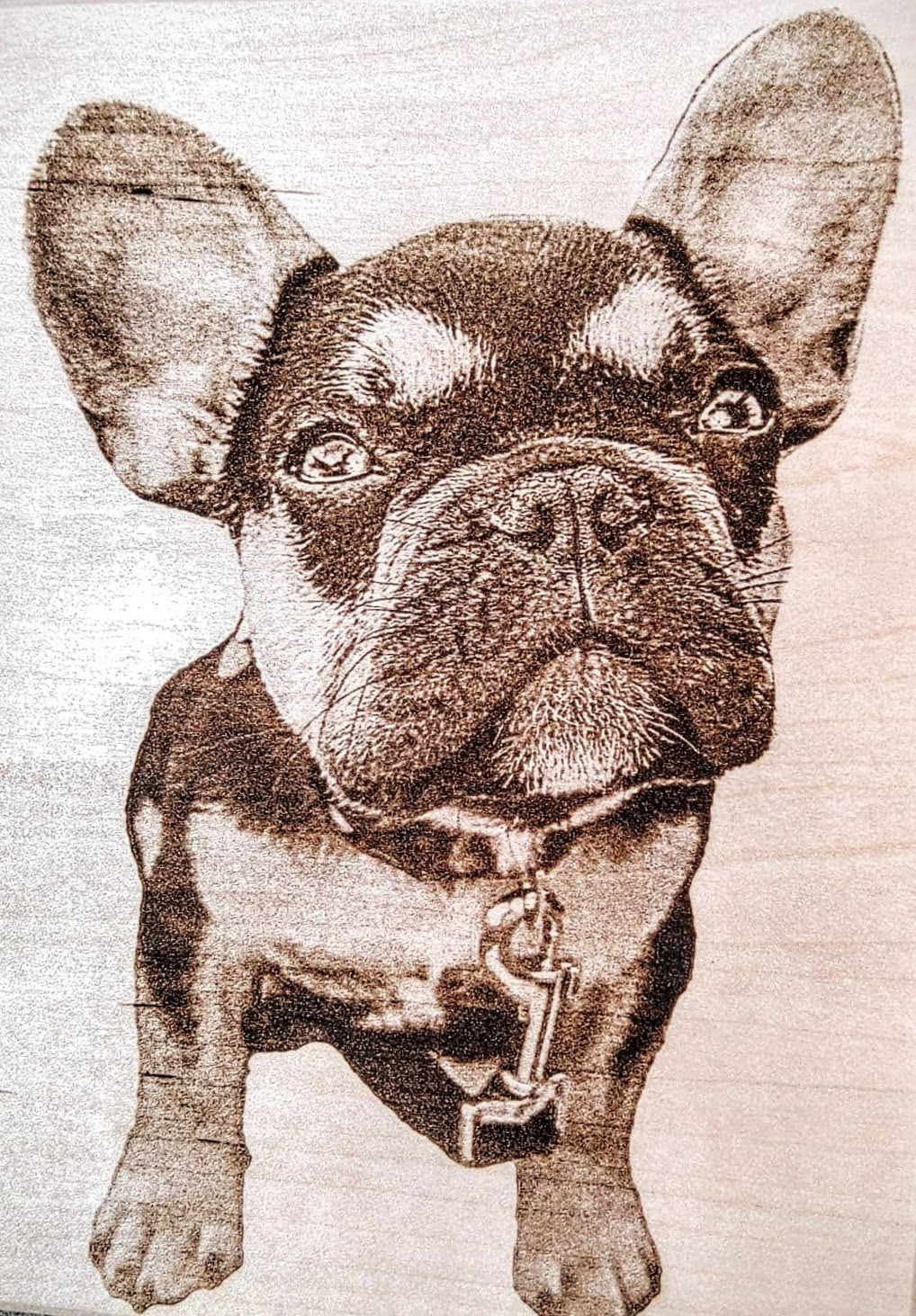 Dog engraving showcase